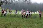Girls under-13s, NECAA Junior Cross Country Relays, Thornley Farm, Peterlee, Saturday, December 12th. Photo: David T. Hewitson/Sports for All Pics